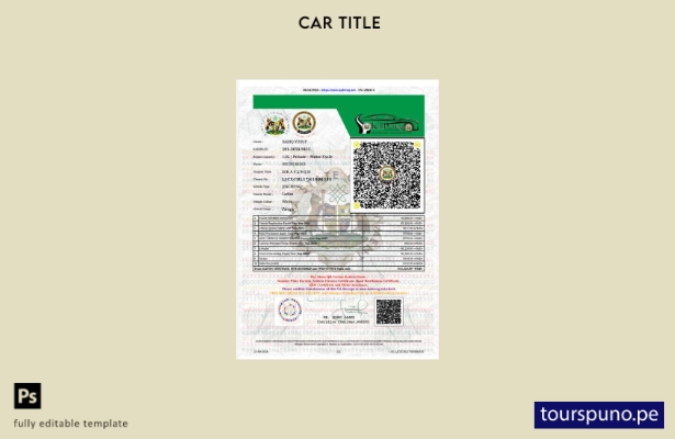 lista para imprimir plantilla de licencia de vehículo estatal de Nigeria Kaduna